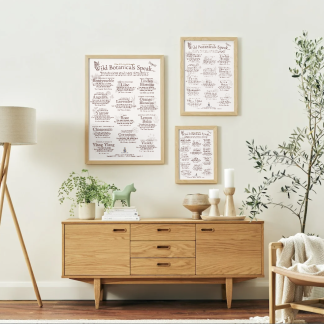 Three different sizes of the Wild Botanicals Speak art print (A1, A2, A3) framed and displayed in a natural home setting.