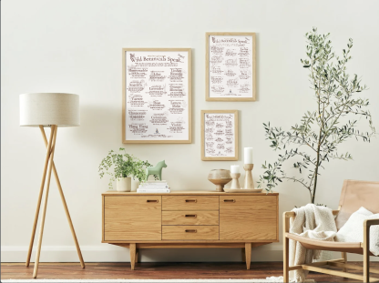 Three different sizes of the Wild Botanicals Speak art print (A1, A2, A3) framed and displayed in a natural home setting.