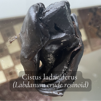 Labdanum Resinoid Pure