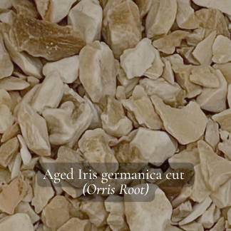 Aged orris root chips on white background, Iris germanica – natural perfumery ingredient
