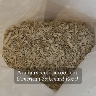 Cut American spikenard root (Aralia racemosa) in a paper storage bag