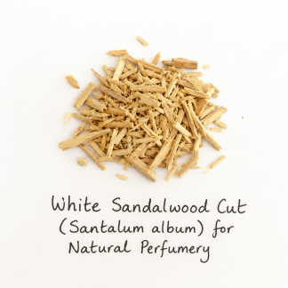 Genuine White Sandalwood (Santalum album) for natural perfumery, tincturing and incense making. Creamy, woody and highly prized by perfumers worldwide.