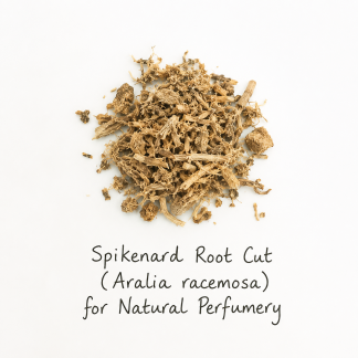Spikenard Root Cut (Aralia racemosa) for natural perfumery, tincturing and botanical scent study. Earthy, rooty and aromatic.